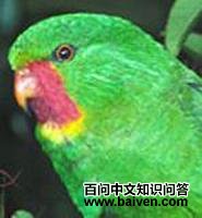 ����������ĵ�ͼƬ