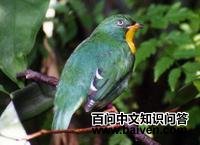 ���ʳ��ɡ���ͼƬ