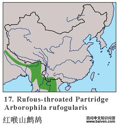 ���ɽ��𳣺�����ֲ�ͼ