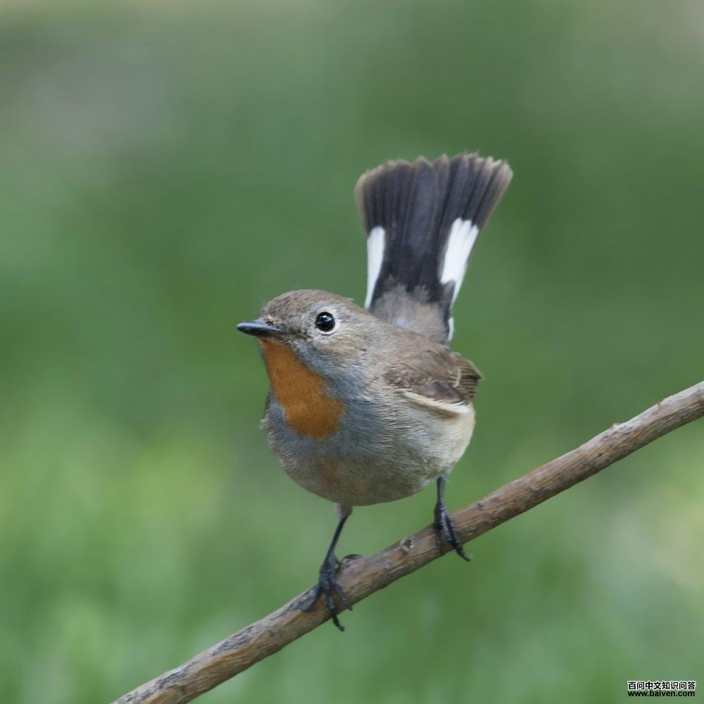 ������l������