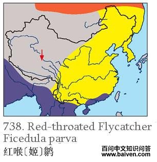 ������l�������ֲ�ͼ