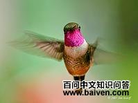 ������Ƿ���