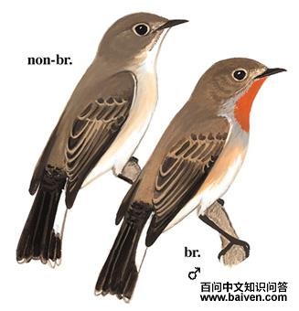 ������l����̬����ͼ