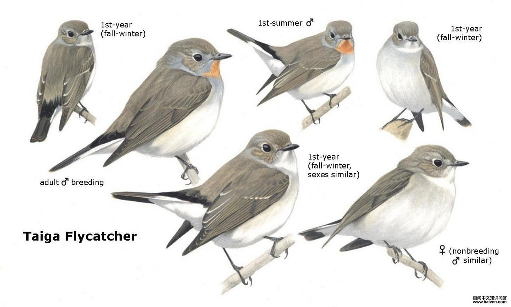 ������l����̬����ͼ