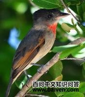 ���������l