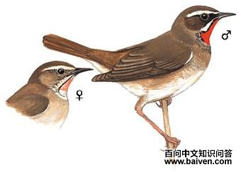 �����𶣺��̬����ͼ