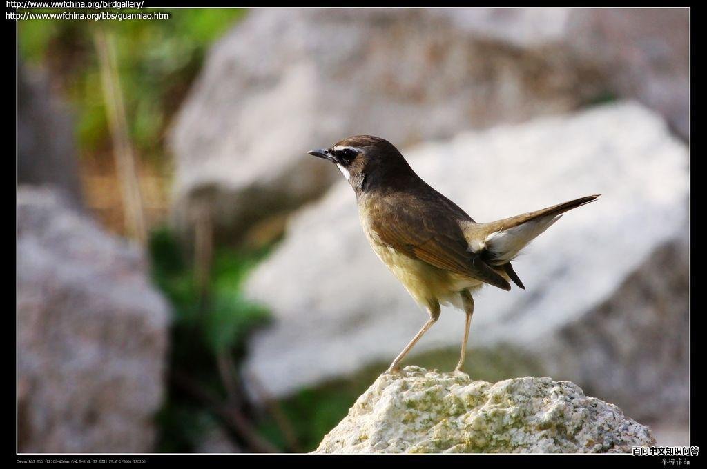 �����𶣺����