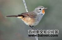 �����ݺ��ͼƬ