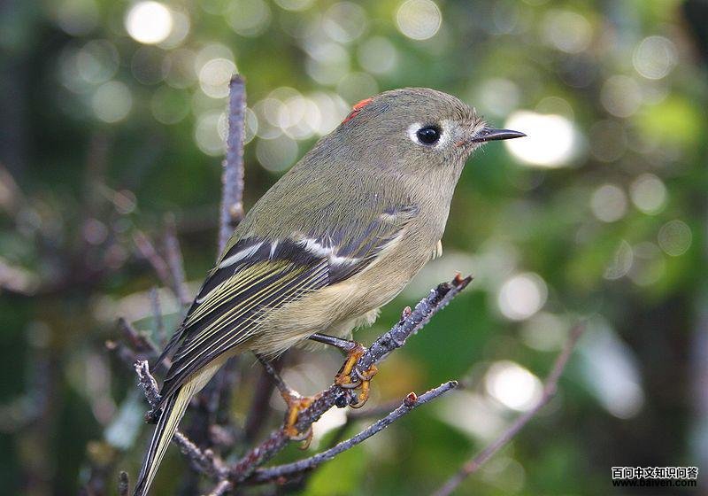 ��ڴ��յ�ͼƬ