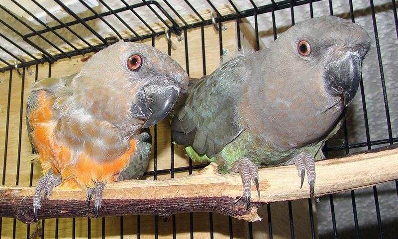 �츹���ĵ�ͼƬ