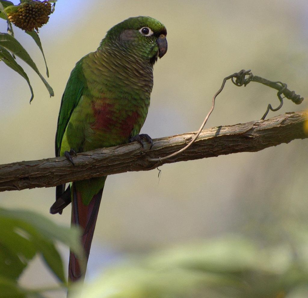 �츹�и��ͼƬ