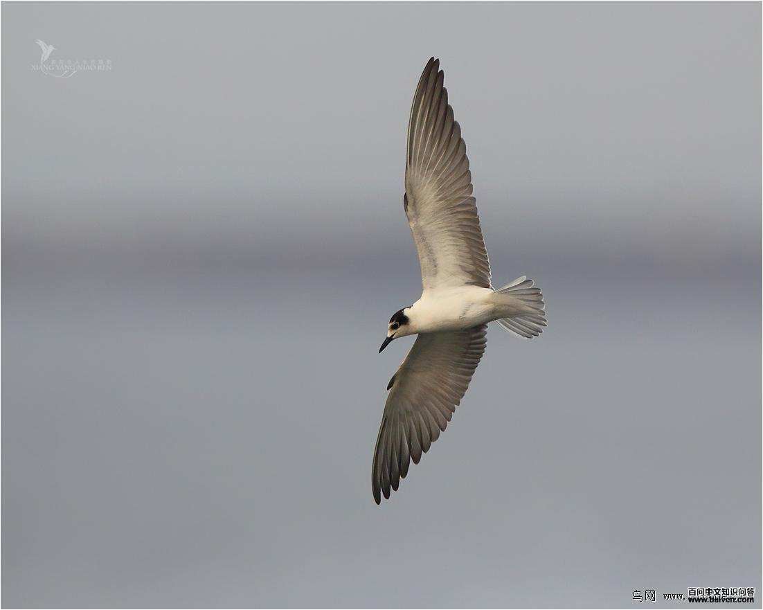 �׳ḡŸ���Ƿ�ֳ��