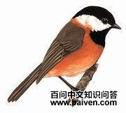 �츹ɽȸ��ͼƬ