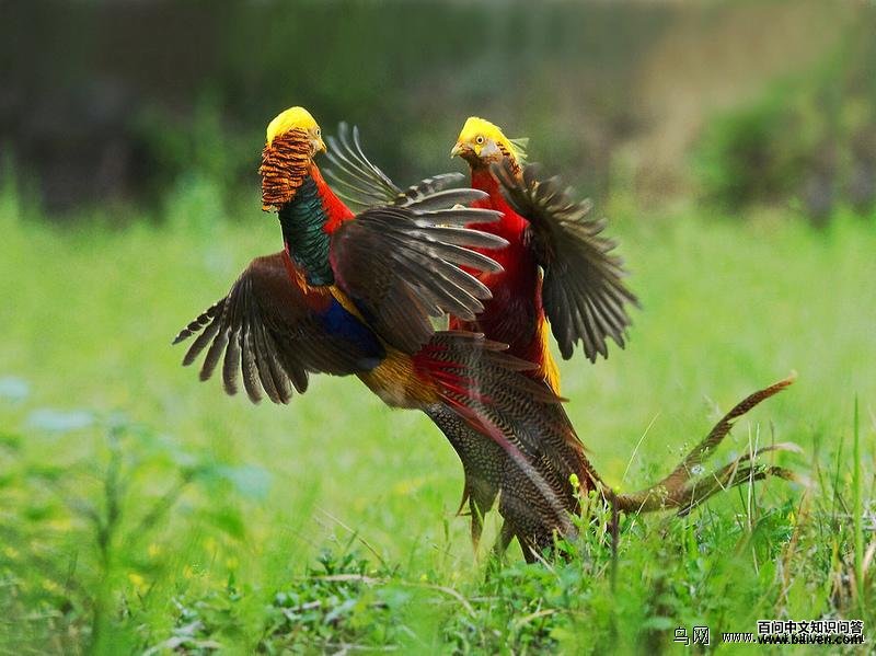 �츹������������