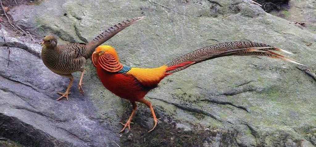 �츹��������ż