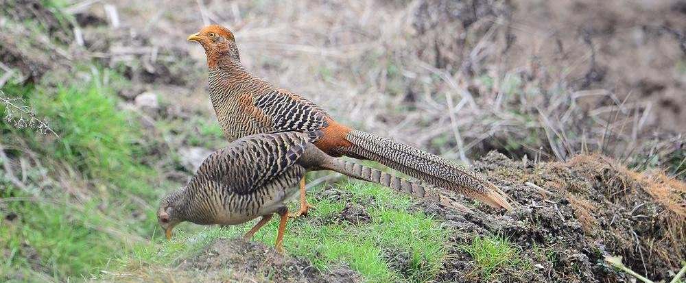 �츹��������������