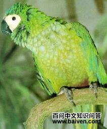 �츹������ĵ�ͼƬ