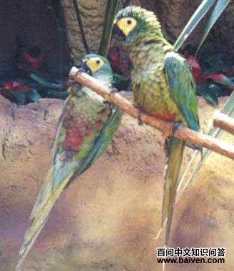 �츹�������