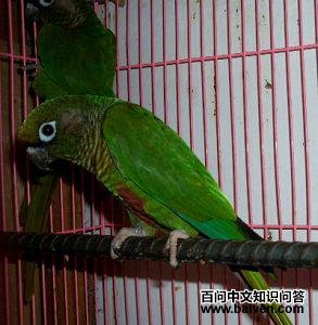 �츹�������