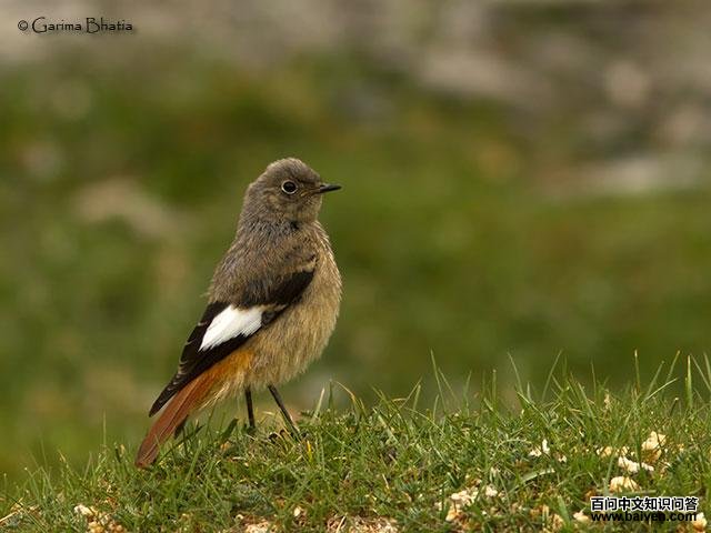 �츹��β𶣺�����ǳ���