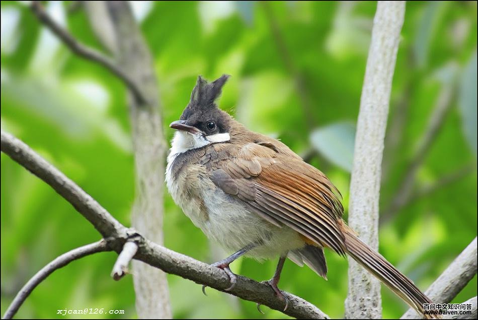 ����ǣ��ǳ����й��𣬵�û�к����