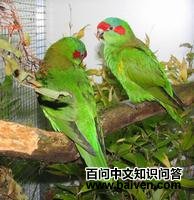 �������������