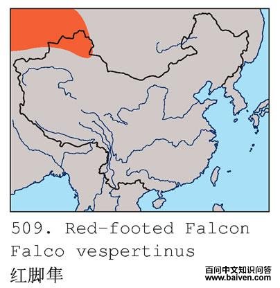 ��������й��ķֲ��ܾ���