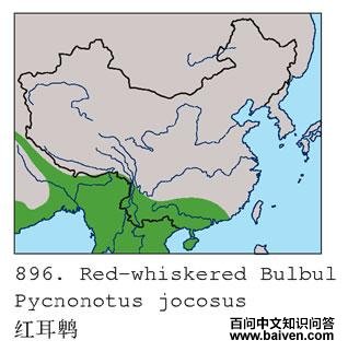 ����ǣ������ֲ�ͼ