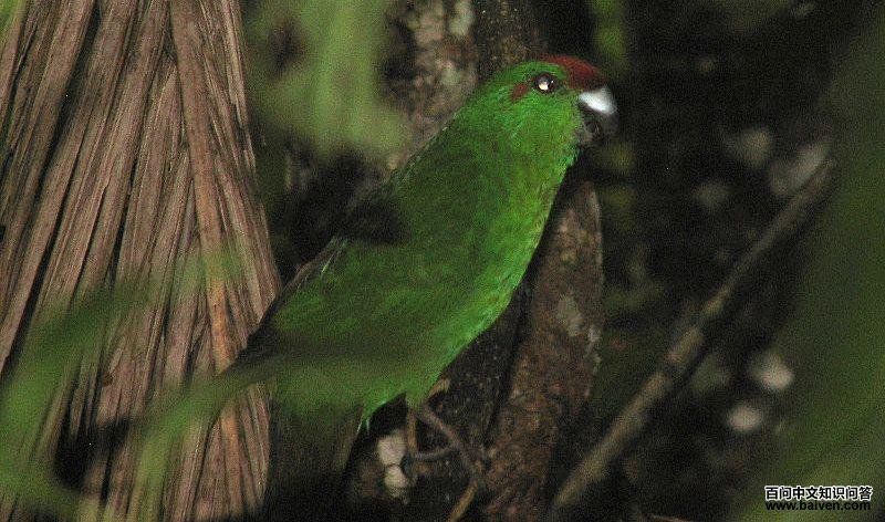 ��β���ĵ�ͼƬ