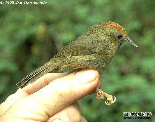 ������̵�ͼƬ