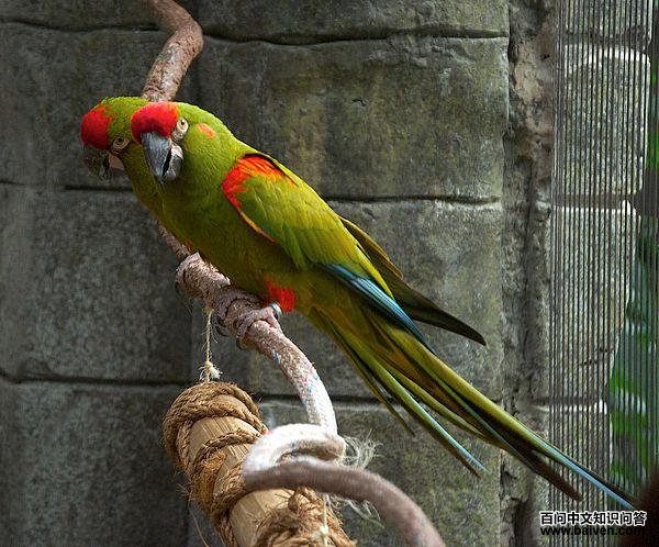 ��������ĵ�ͼƬ