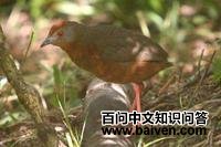 �춥�Ｆ��ͼƬ