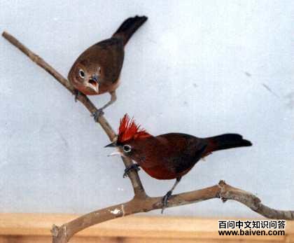 �춥ȸ����ͼƬ