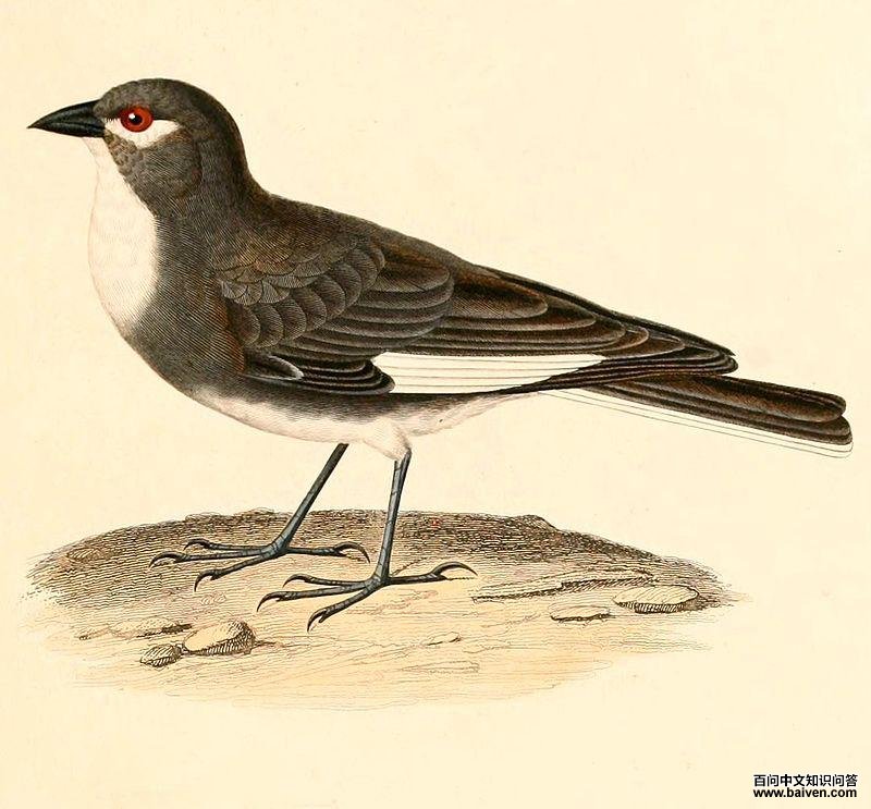 �׳�Ͽ�ȸ��ͼƬ