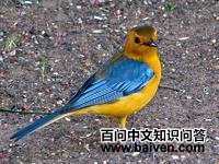 �춥���S��ͼƬ