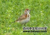 �춥��ֺ����