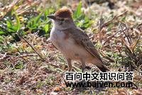 �춥��ֺ����