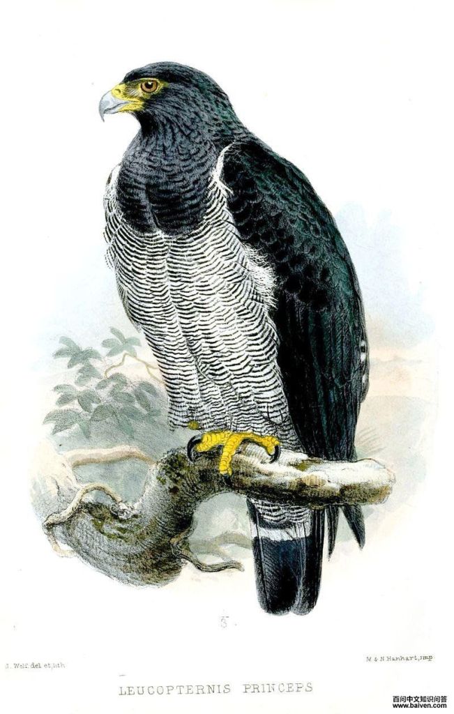 ��������\��ͼƬ