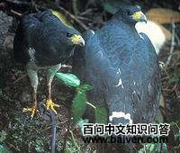 ��������\