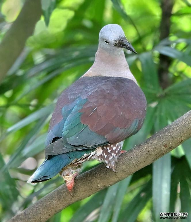 ��߻���ͼƬ