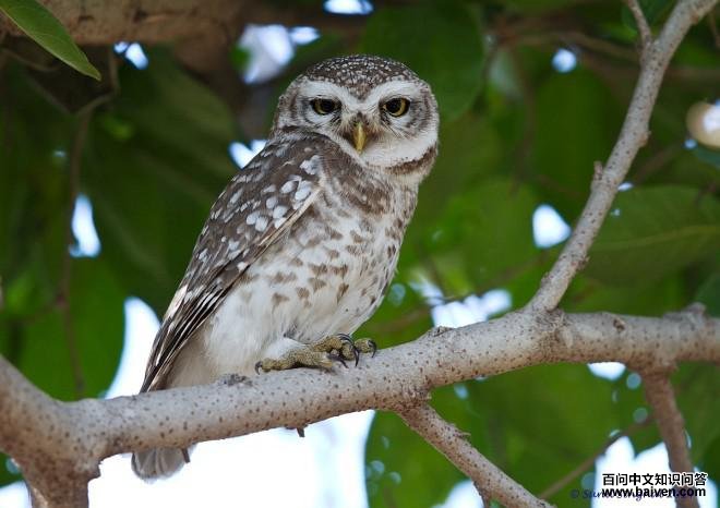 ��߸�С�^������