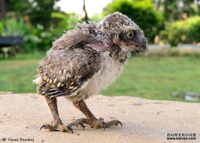 ��߸�С�^������