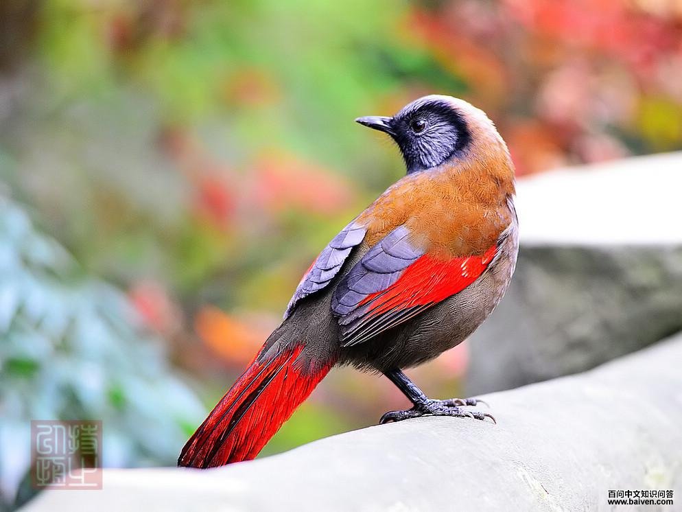 ������̵�ͼƬ