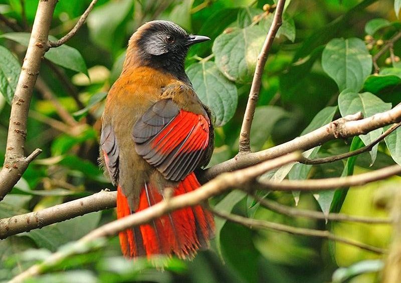 ������̣���ɫ���̣������ߣ��ϴ档2011��11�¡�