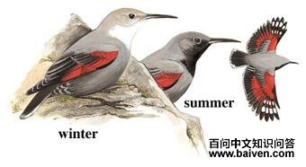 �������ȸ����̬����ͼ