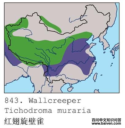 �������ȸ�������ֲ�ͼ