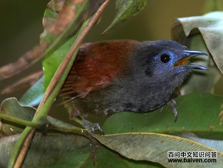 ������̵�ͼƬ