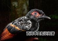 ������������ͼƬ