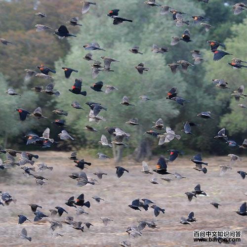 ����𿣺��Ⱥ