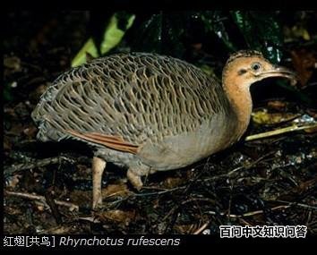 ���[����]